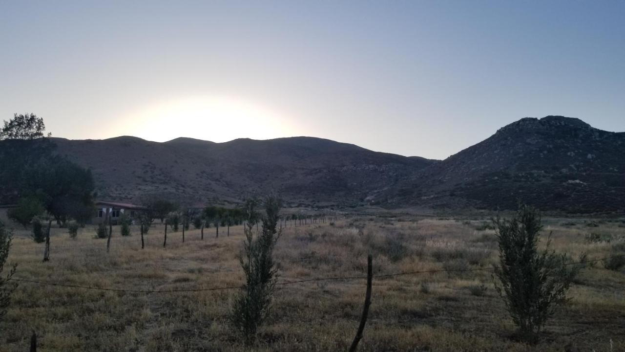 Cabanas Los Laureles Ruta Del Vino 엔세나다 외부 사진
